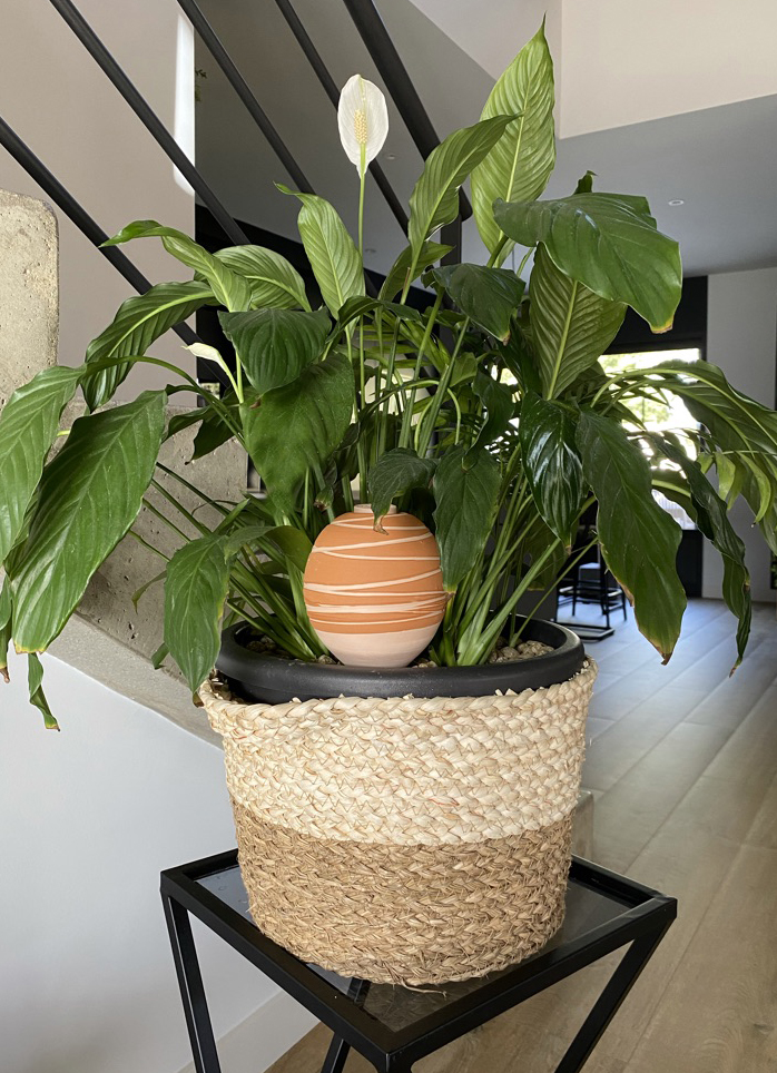 Oya Emaillé et décoré - L'irrigation écologique 2