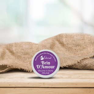 Baume à lèvre biologique - Brin d’amour