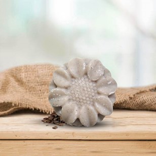 Shampoing solide biologique - L’équilibrant