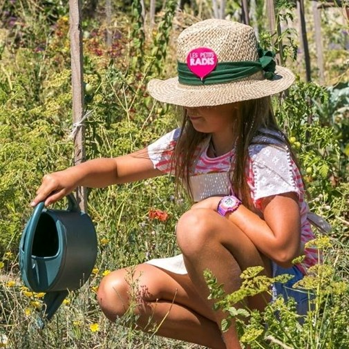 Abonnement à 3 mois de potager Les Petits Radis