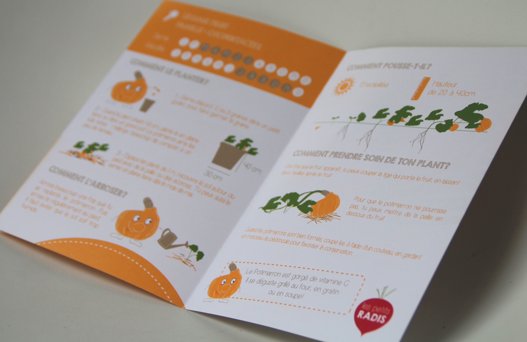 Abonnement 6 mois potager Les Petits Radis