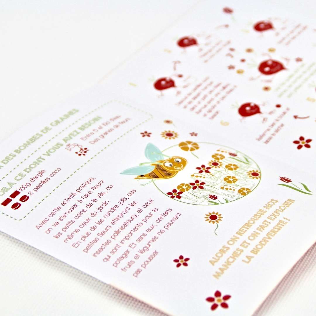 Kit bombes à graines 3