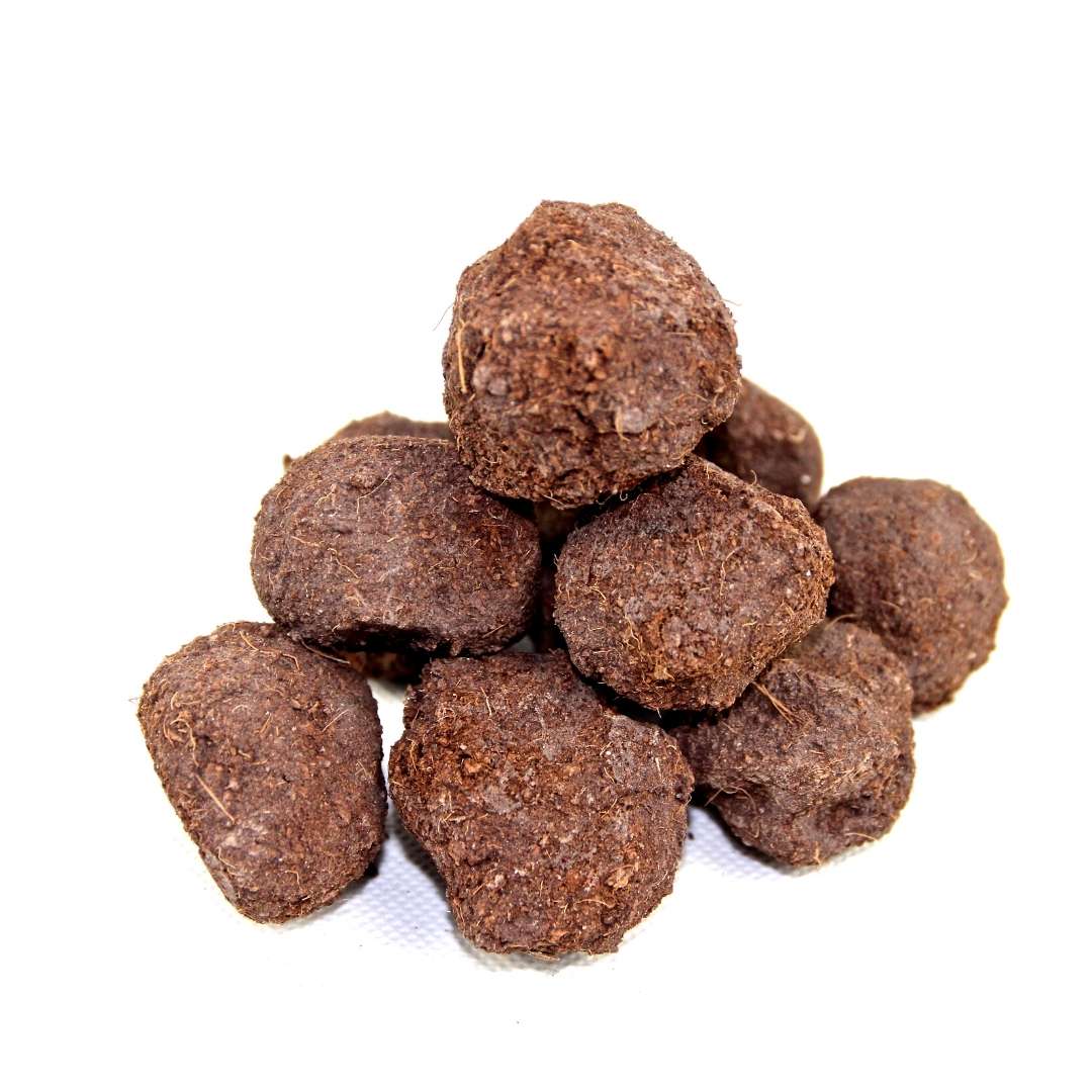 Kit bombes à graines 4