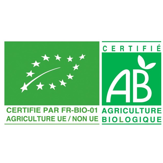 Ma tablette de chocolat bio praliné Sacrée courge 3