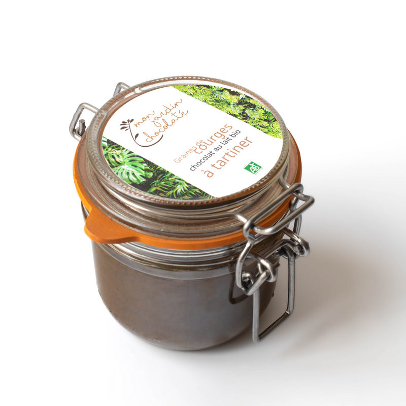 Graines de courge bio à tartiner 3