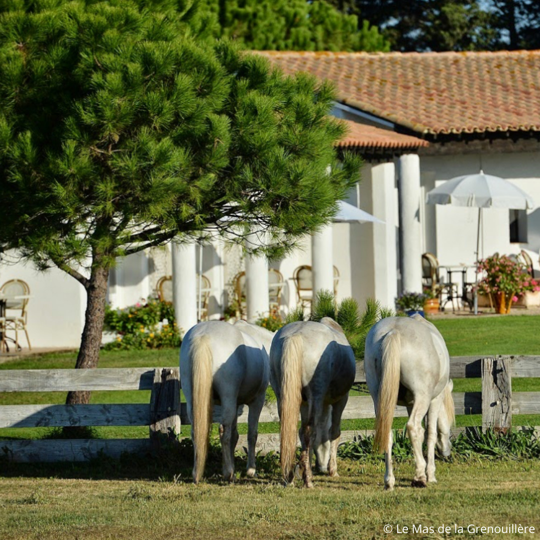 Coffret cadeau éco-responsable Séjour Parc et Jardin 4