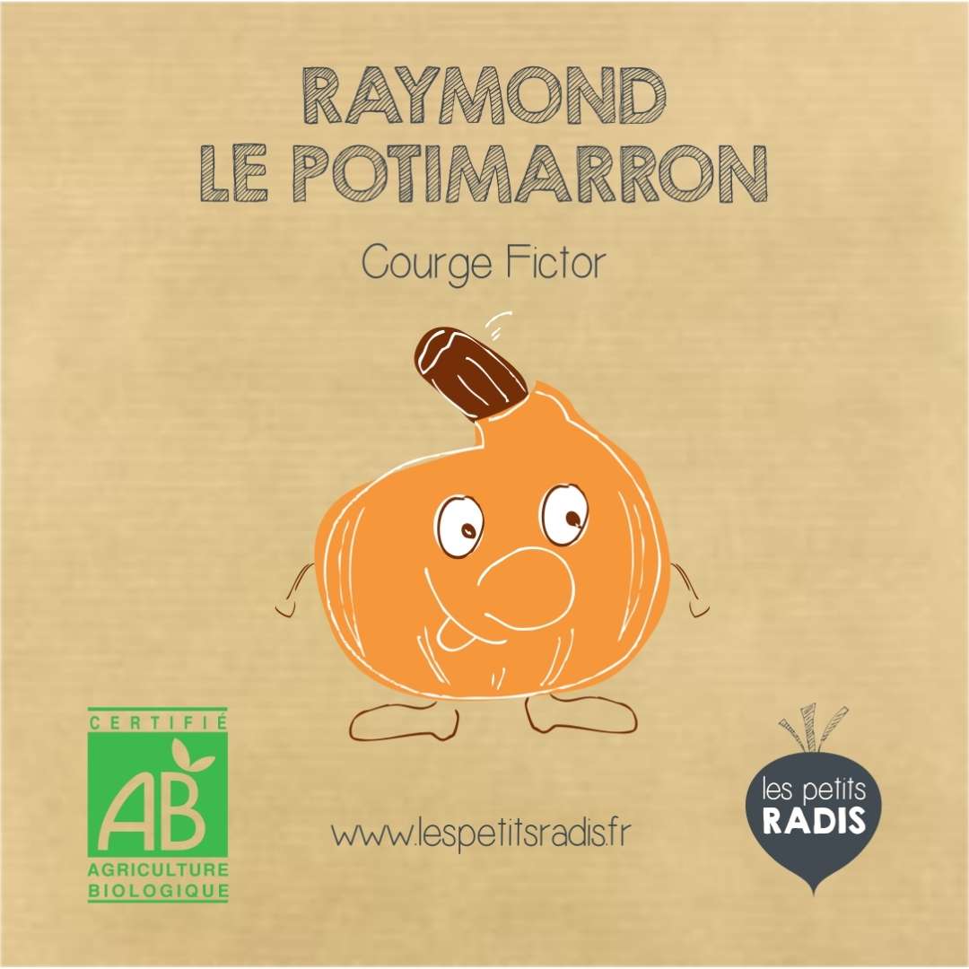 Mini-kit de semis - Graines de potimarron bio - Raymond le potimarron 3