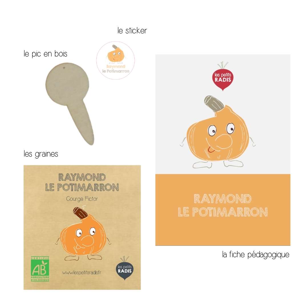 Mini-kit de semis - Graines de potimarron bio - Raymond le potimarron 4