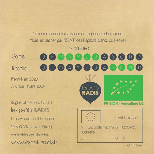 Mini-kit de semis - Graines de potimarron bio - Raymond le potimarron 5