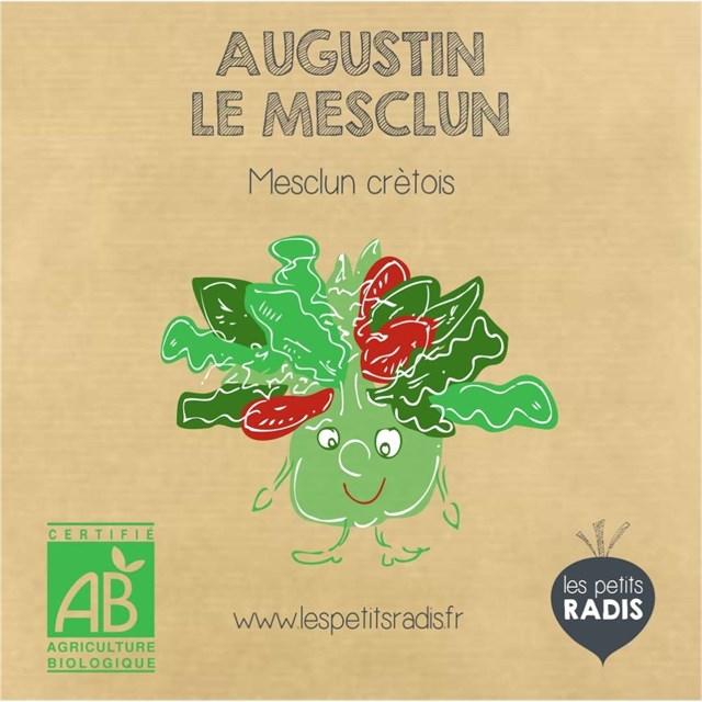 Mini-kit de semis - Graines de mesclun BIO - Augustin le mesclun 3