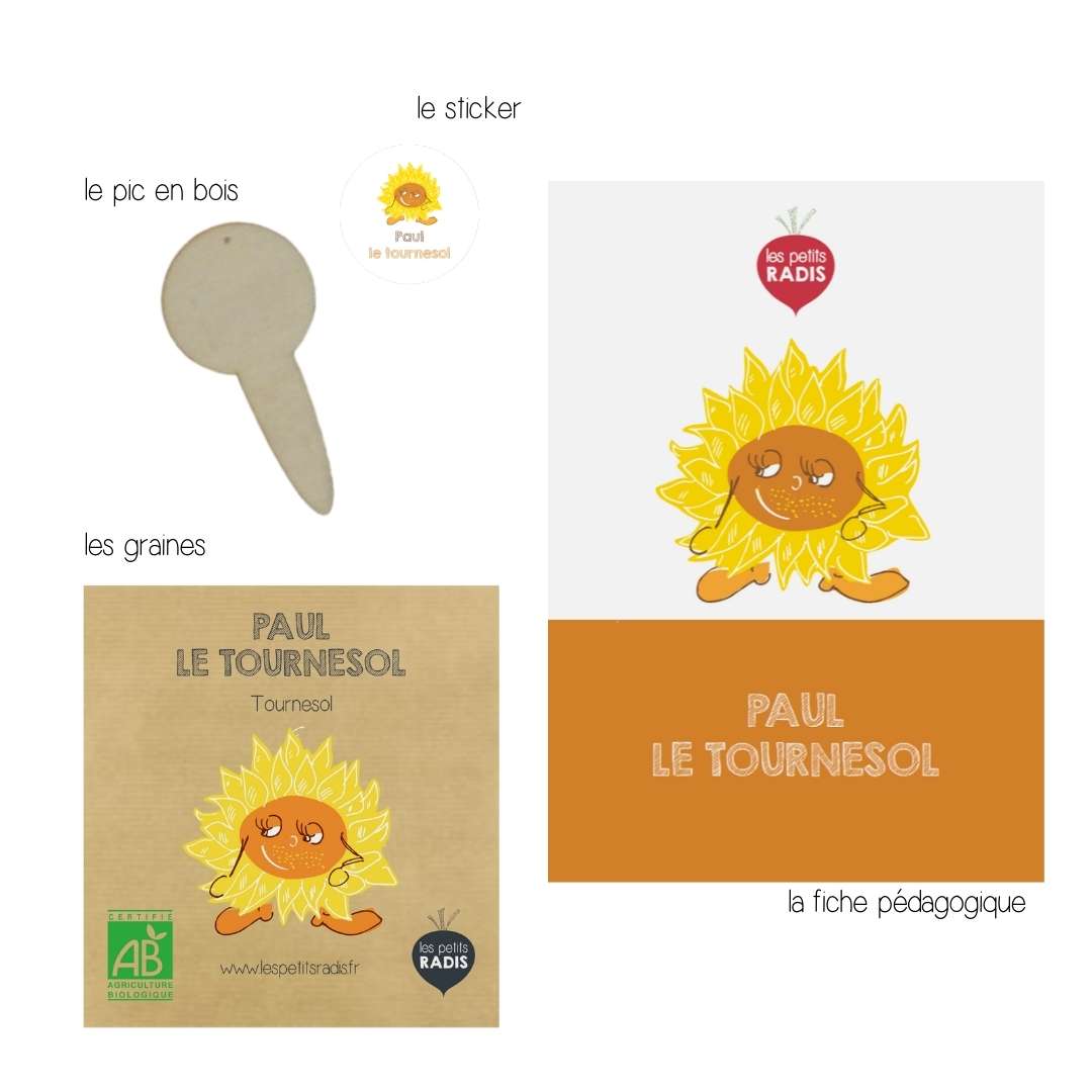 Mini-kit de semis - Graines de tournesol BIO - Paul le tournesol 3
