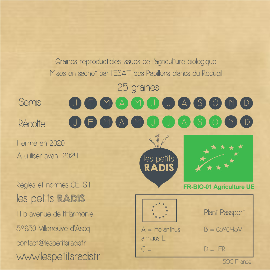 Mini-kit de semis - Graines de tournesol BIO - Paul le tournesol 6