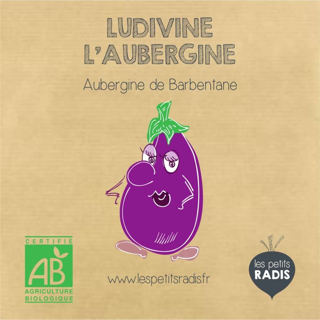 Mini Kitkipouss - Graines d'aubergine BIO - Ludivine l'aubergine 3