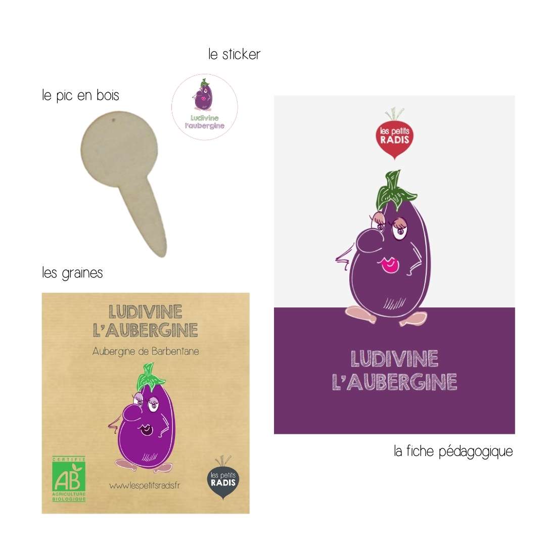 Mini Kitkipouss - Graines d'aubergine BIO - Ludivine l'aubergine 4