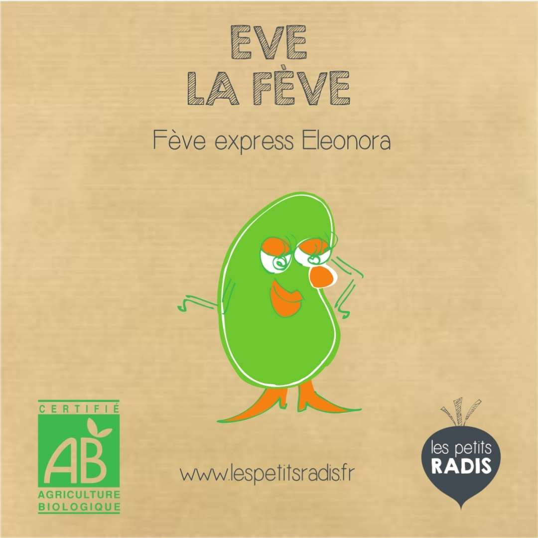 Mini-kit de semis - Graines de fève BIO - Eve la fève 2