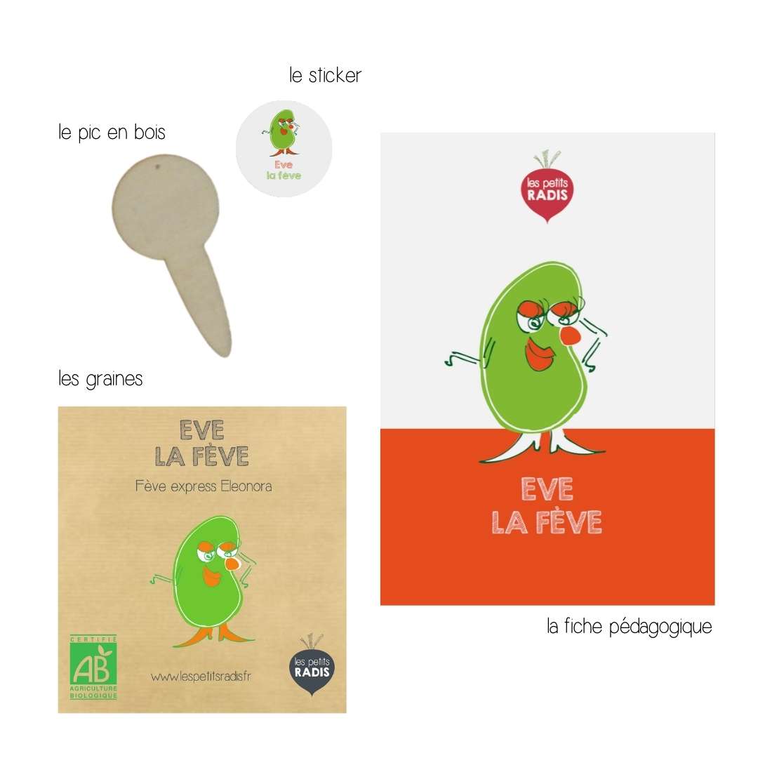 Mini-kit de semis - Graines de fève BIO - Eve la fève 3