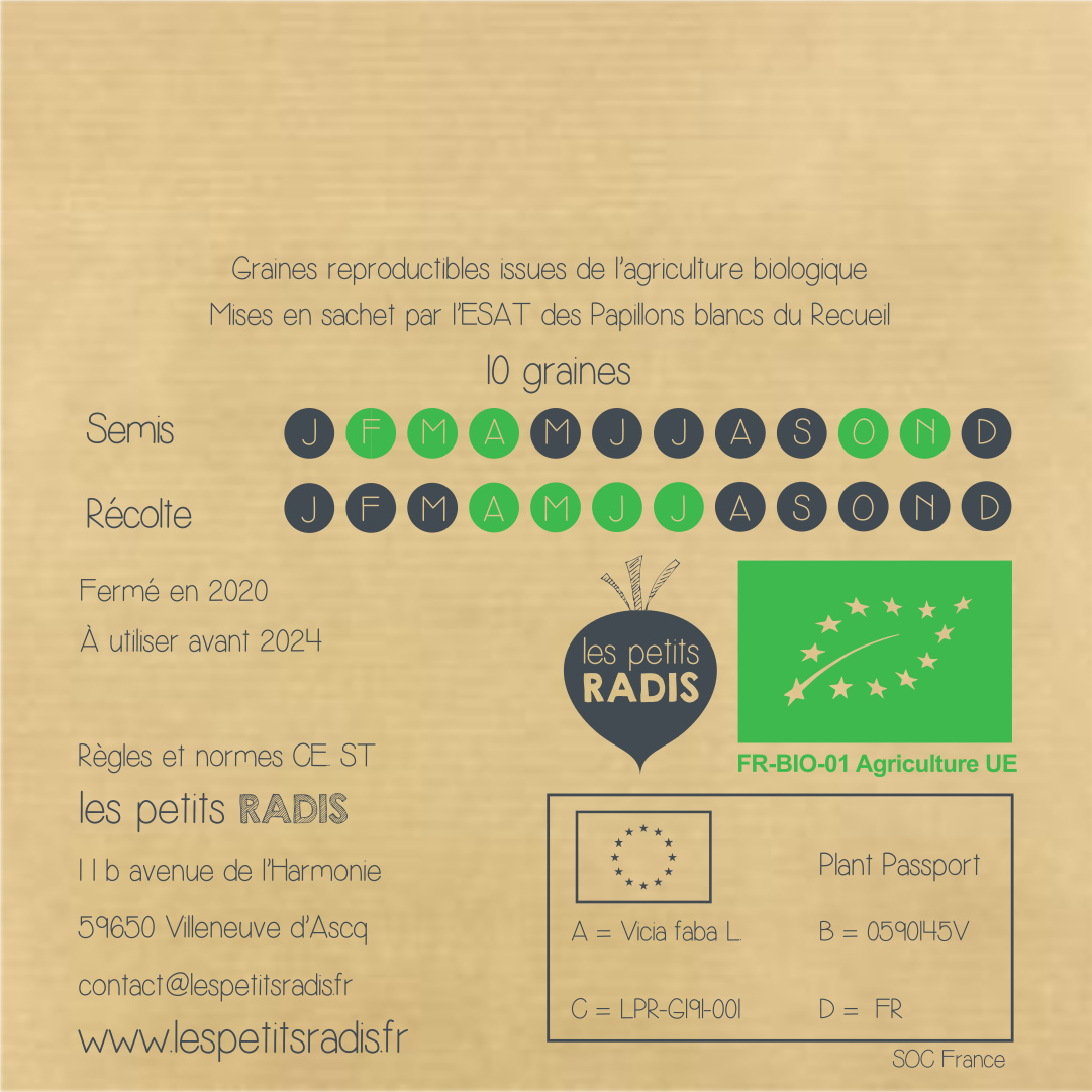 Mini-kit de semis - Graines de fève BIO - Eve la fève 5