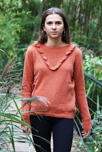 Pull Pétula - Plusieurs couleurs