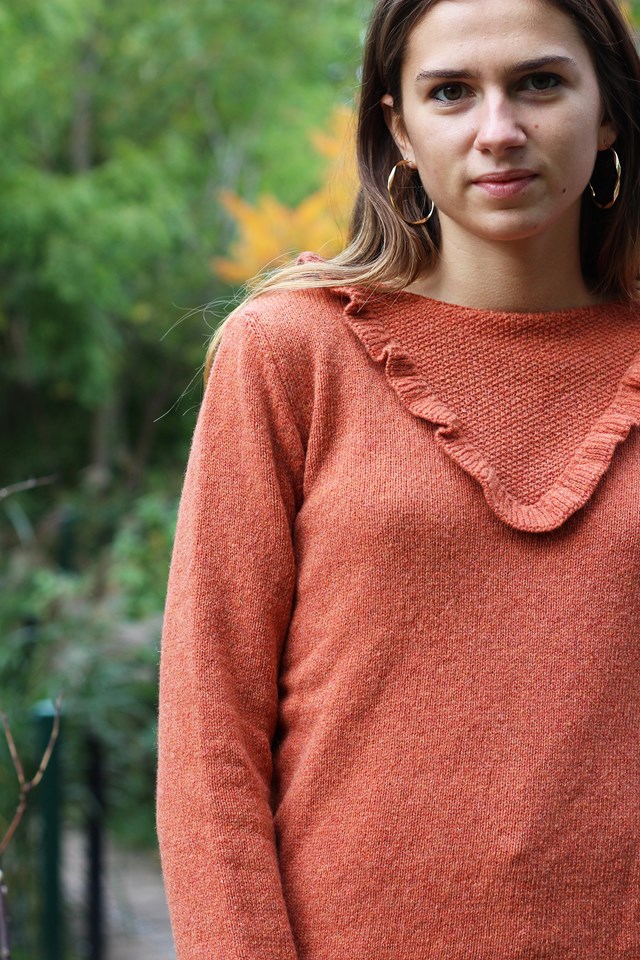 Pull Pétula - Plusieurs couleurs 14