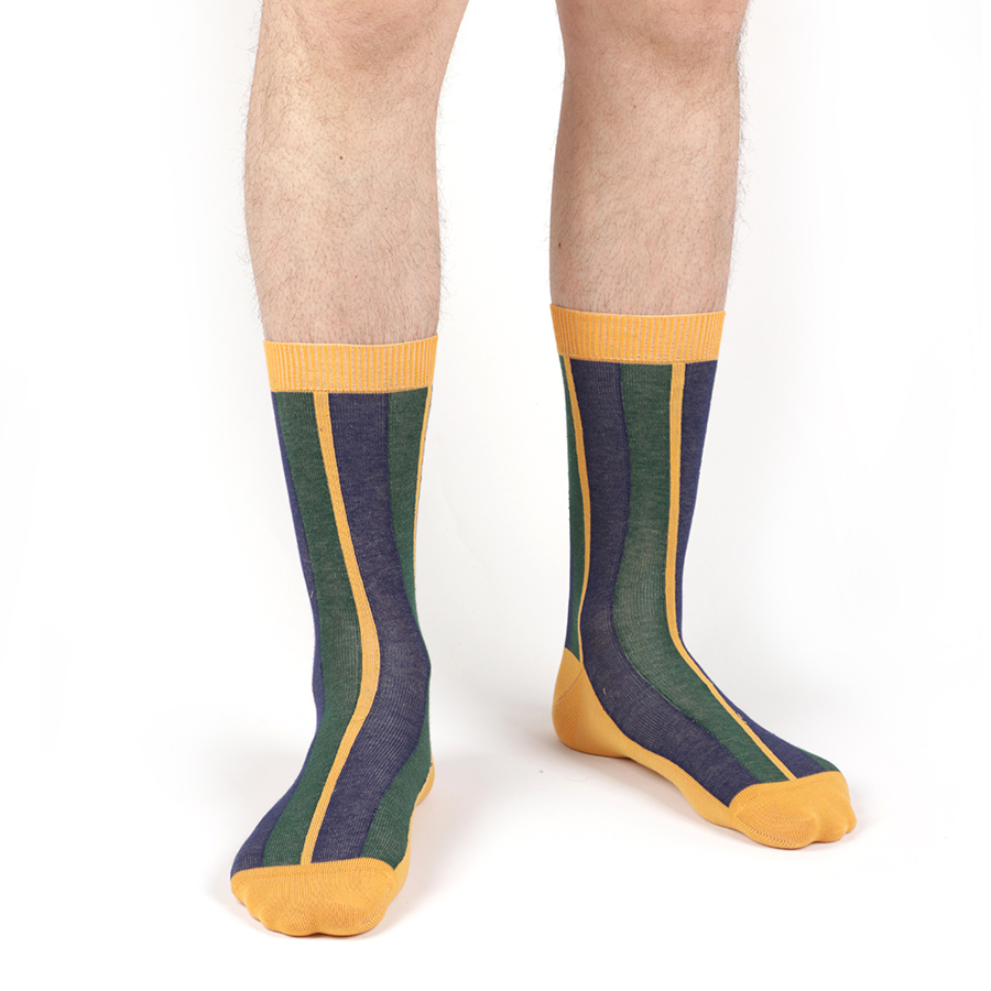 Chaussettes à rayures jaune / vert / bleu marine 5