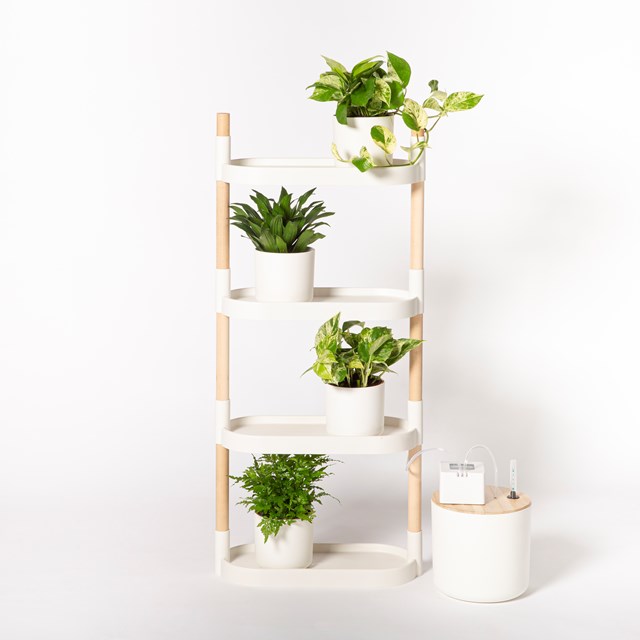 Étagère pour plantes à arrosage automatique