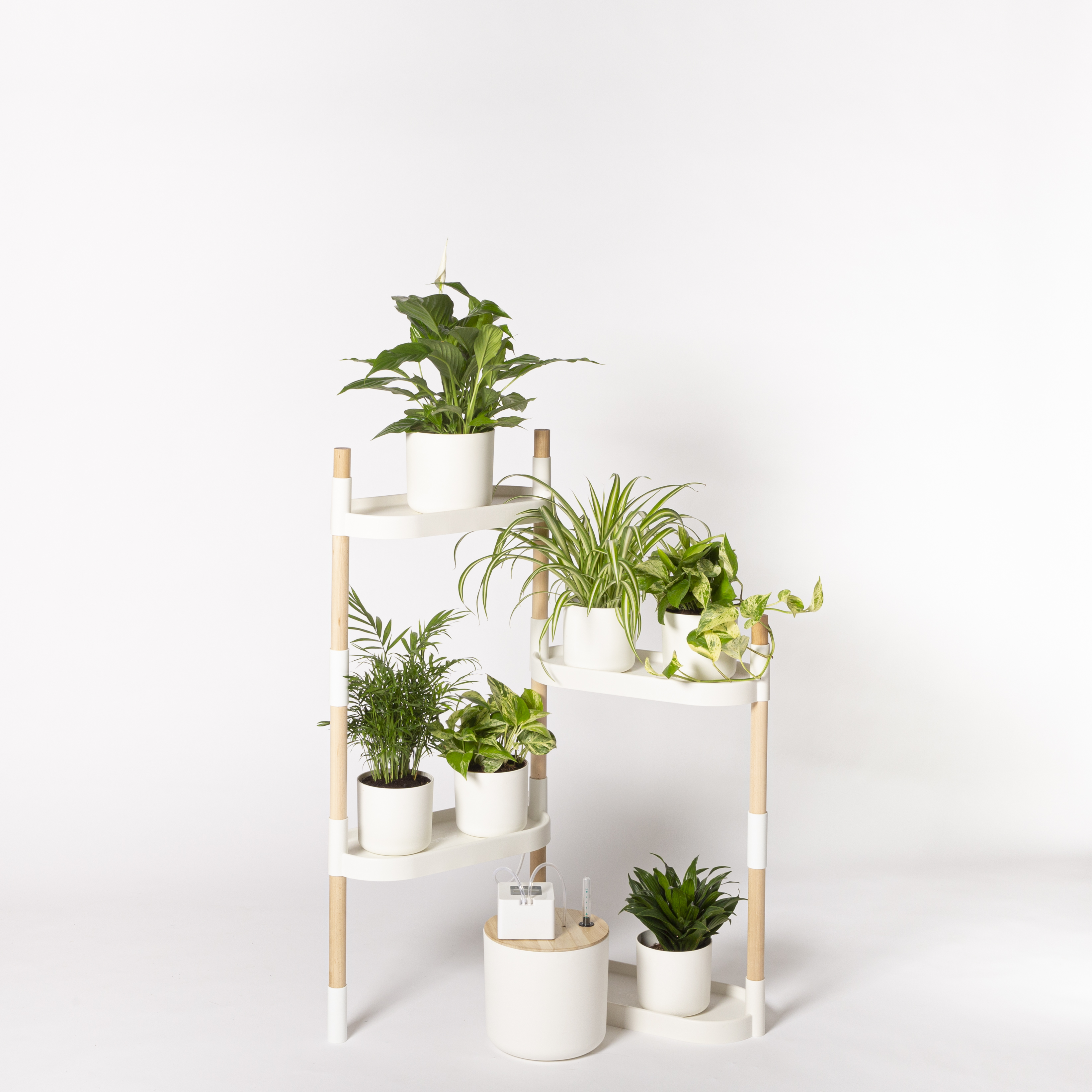 Étagère pour plantes à arrosage automatique 3