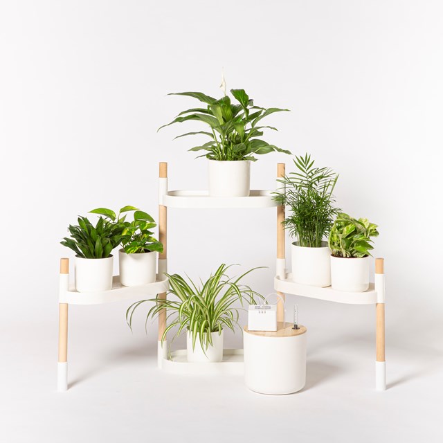 Étagère pour plantes à arrosage automatique