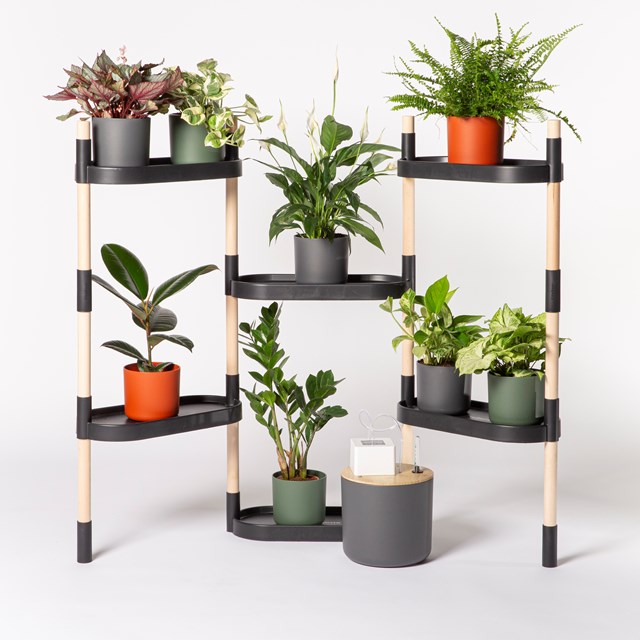 Étagère pour plantes à arrosage automatique