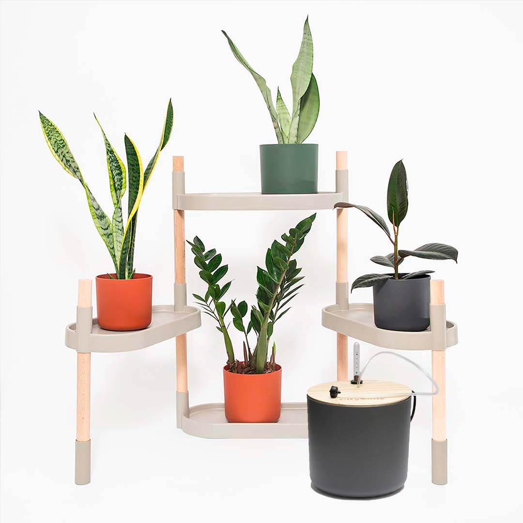 Étagère pour plantes à arrosage automatique 34