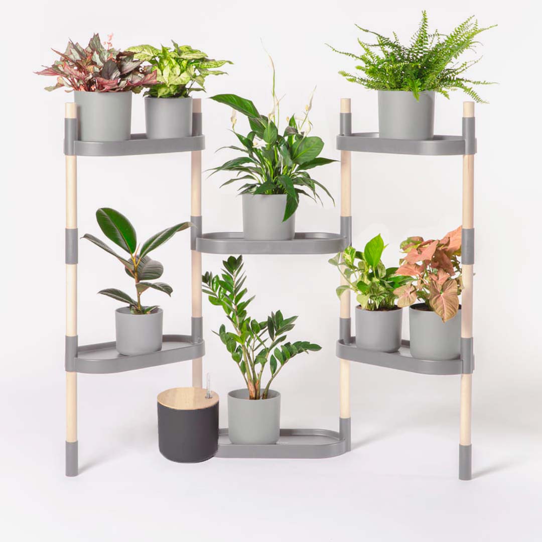 Étagère pour plantes à arrosage automatique 37