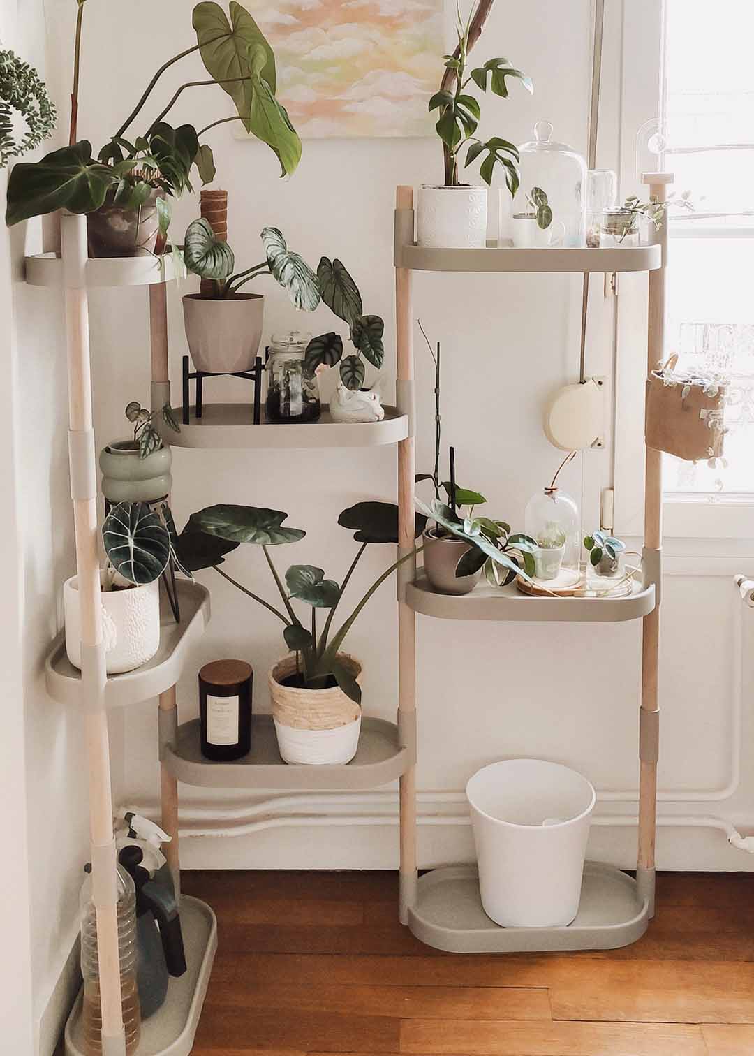 Étagère pour plantes à arrosage automatique 40