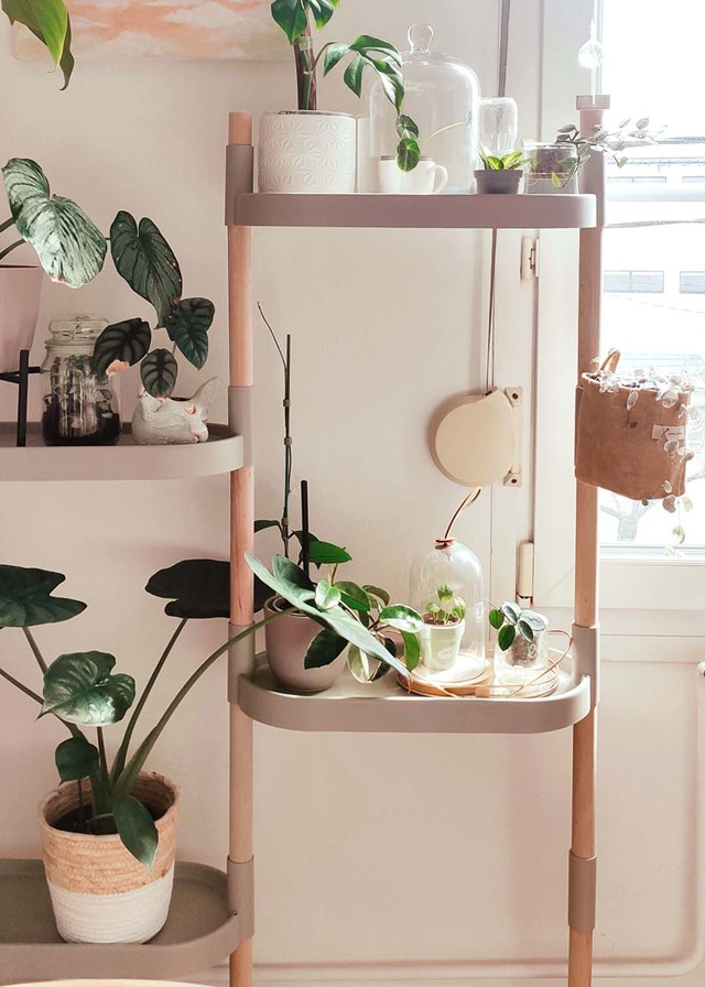 Étagère pour plantes à arrosage automatique 35