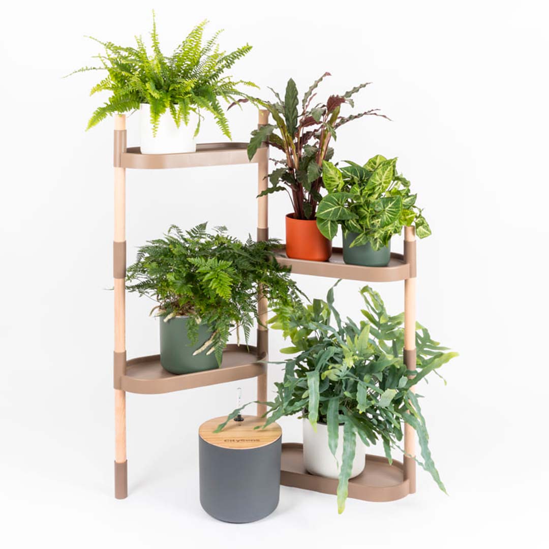 Étagère pour plantes à arrosage automatique 42