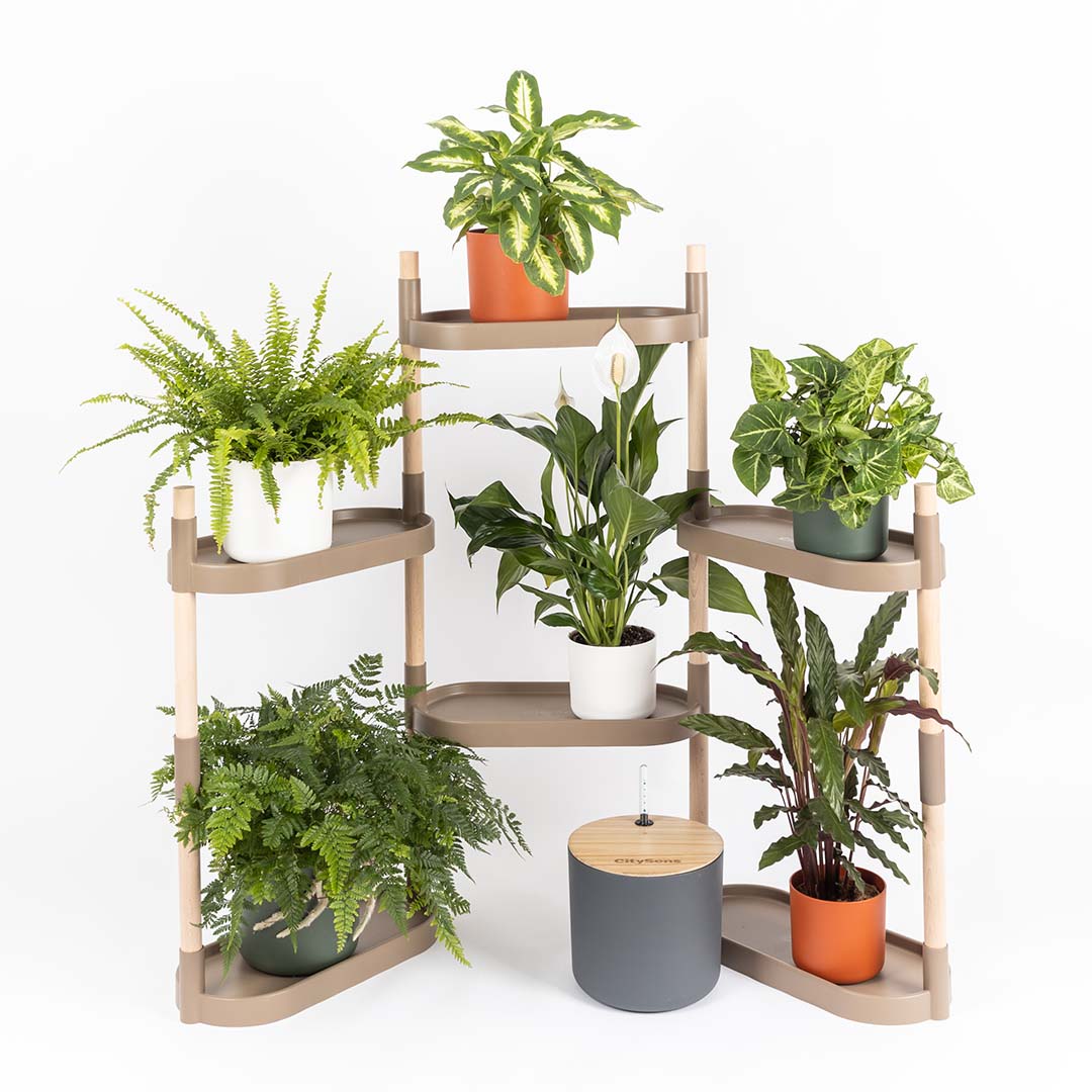 Étagère pour plantes à arrosage automatique 44