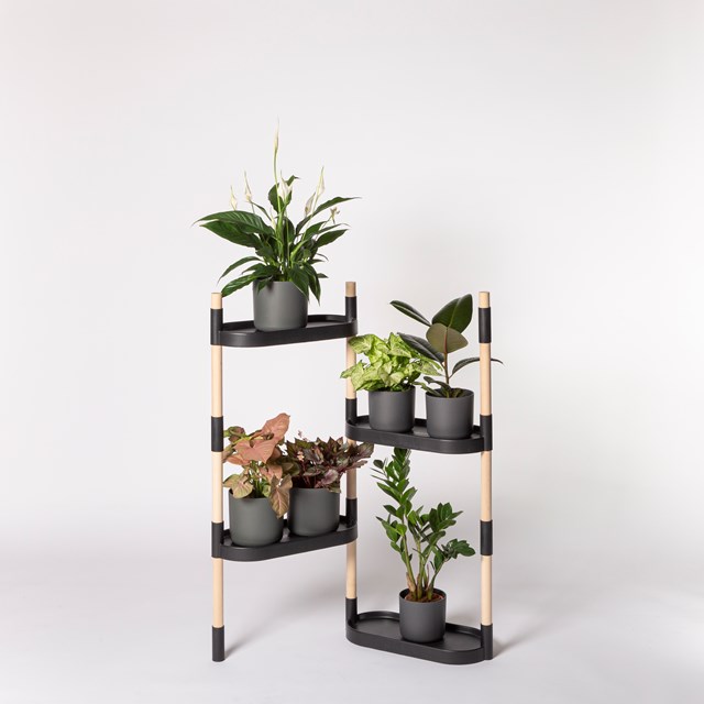 Étagère pour plantes à arrosage automatique