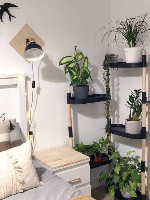 Étagère pour plantes à arrosage automatique