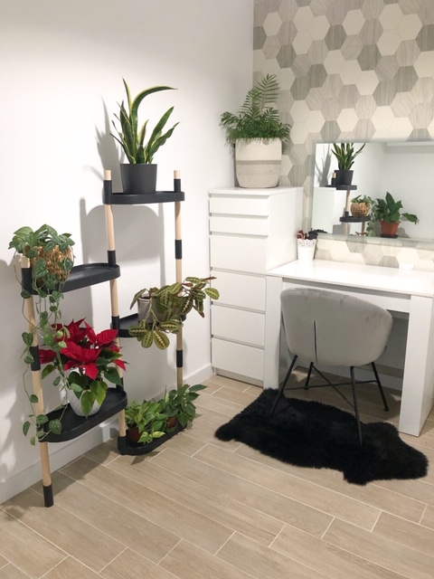 Étagère pour plantes à arrosage automatique 30