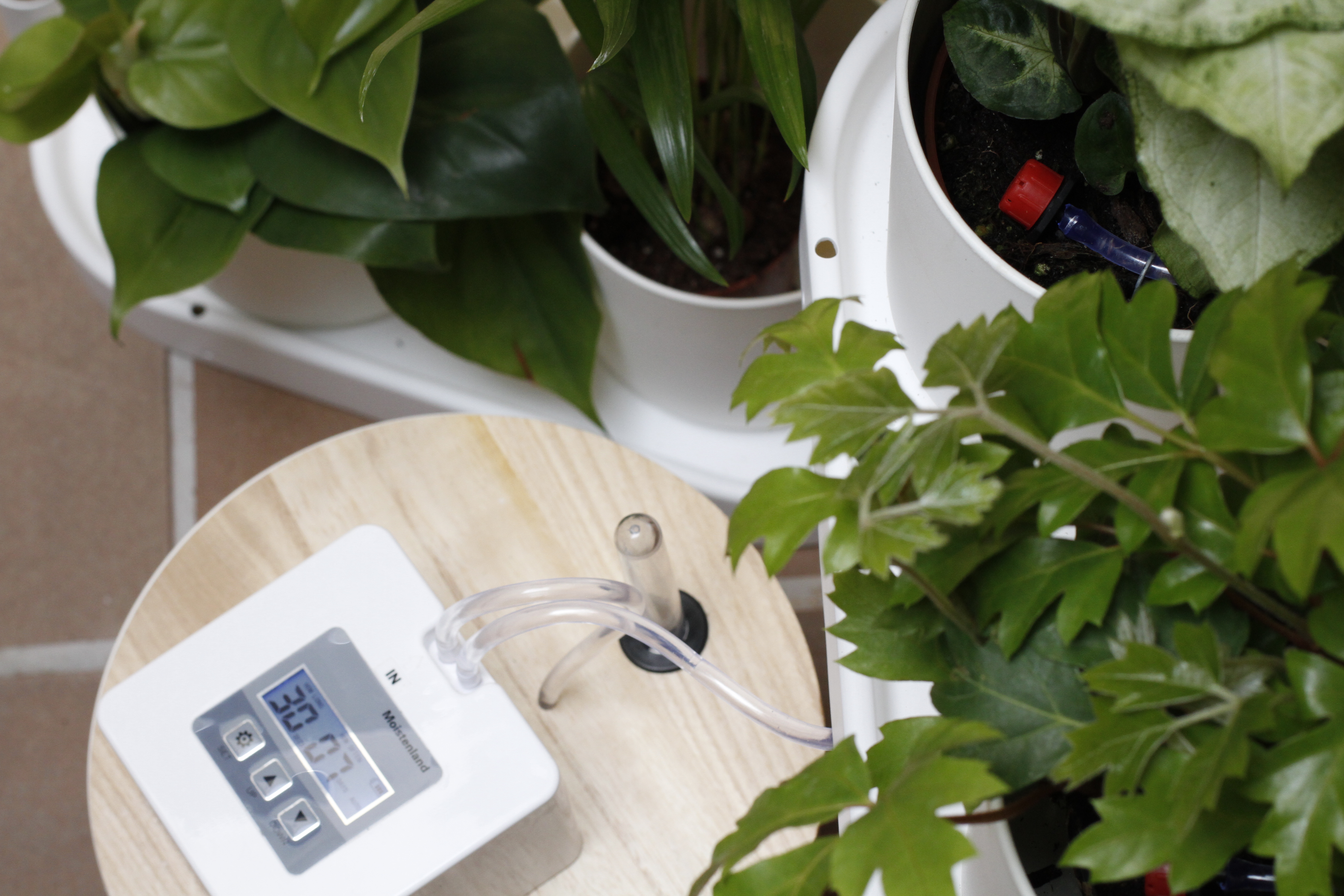 Étagère pour plantes à arrosage automatique 19