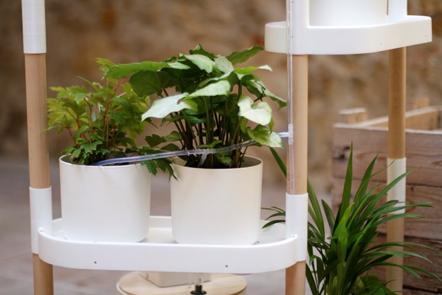 Étagère pour plantes à arrosage automatique 20
