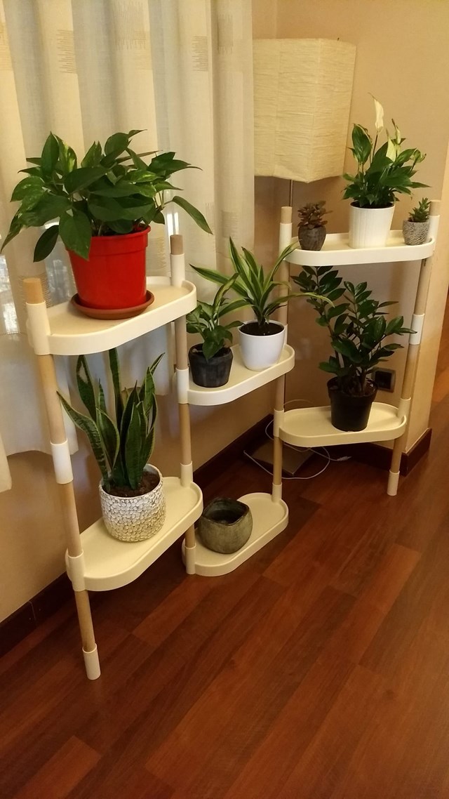 Étagère pour plantes 6