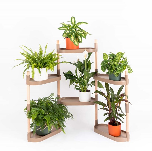 Étagère pour plantes 40