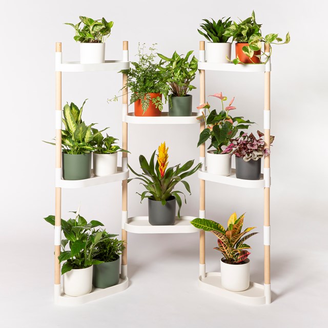 Étagère pour plantes 30