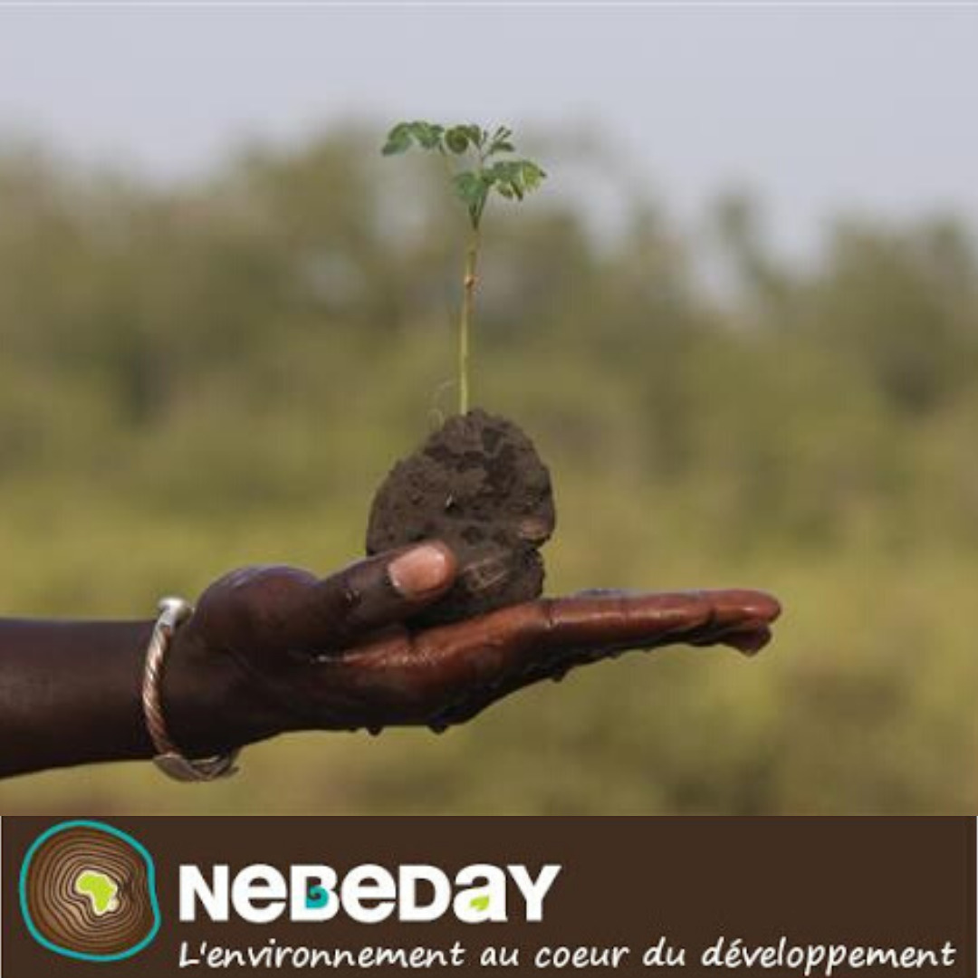 OAÏ x CONSCIOUS - La gourde inox isotherme nomade et durable 7