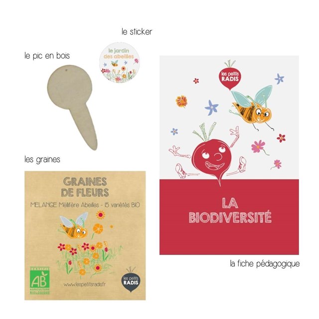 Mini-Kit de semis - graines de fleurs mellifères bio pour attirer les abeilles 3