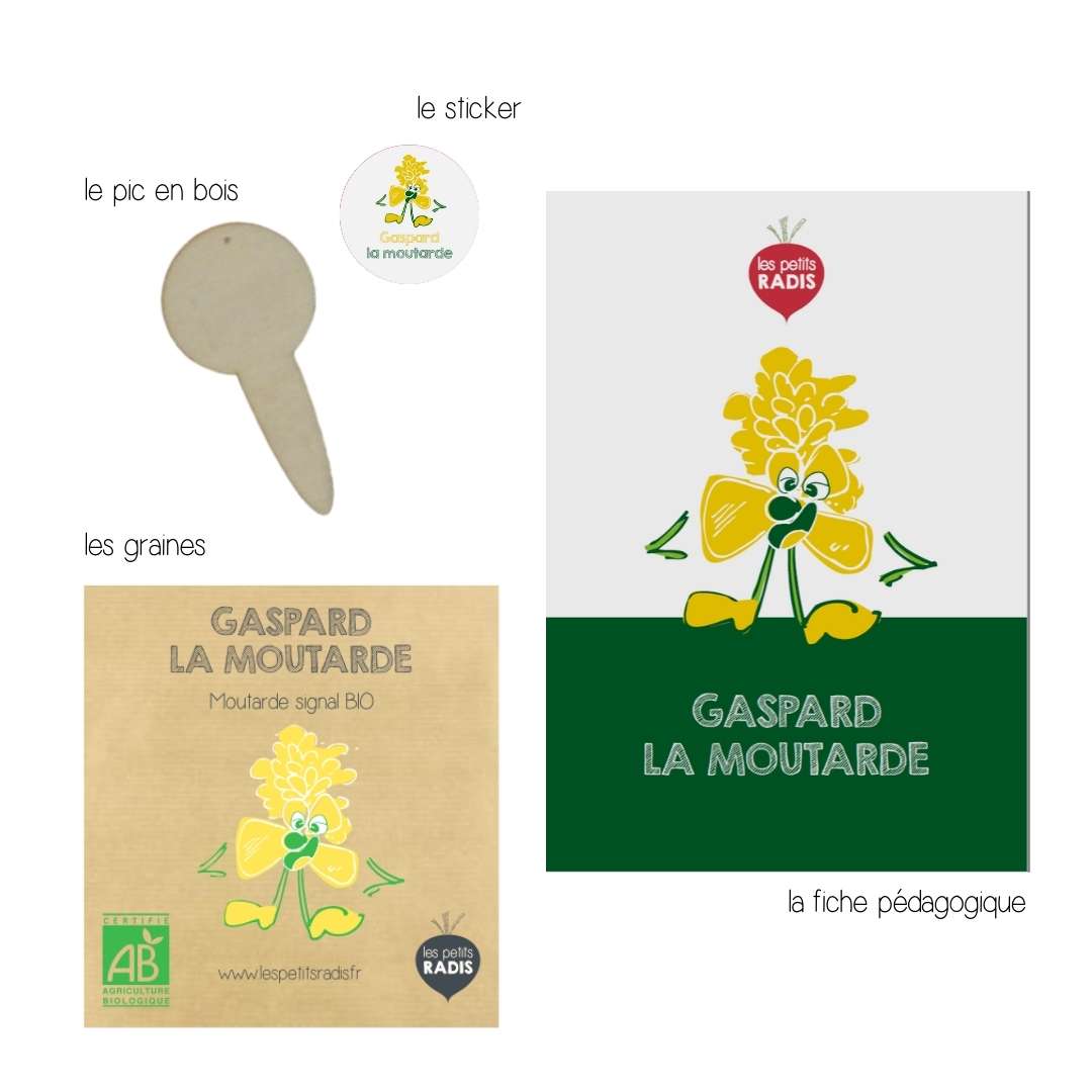 Mini-kit de semis - graines de moutarde bio - Gaspard la moutarde