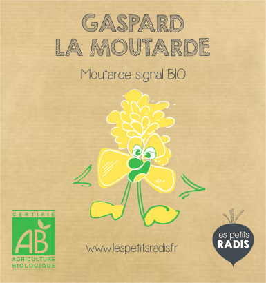 Mini-kit de semis - graines de moutarde bio - Gaspard la moutarde