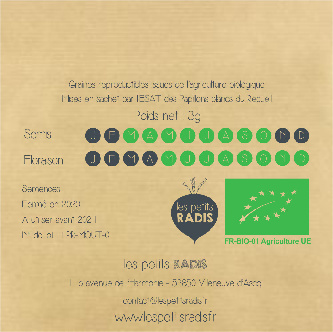 Mini-kit de semis - graines de moutarde bio - Gaspard la moutarde 6