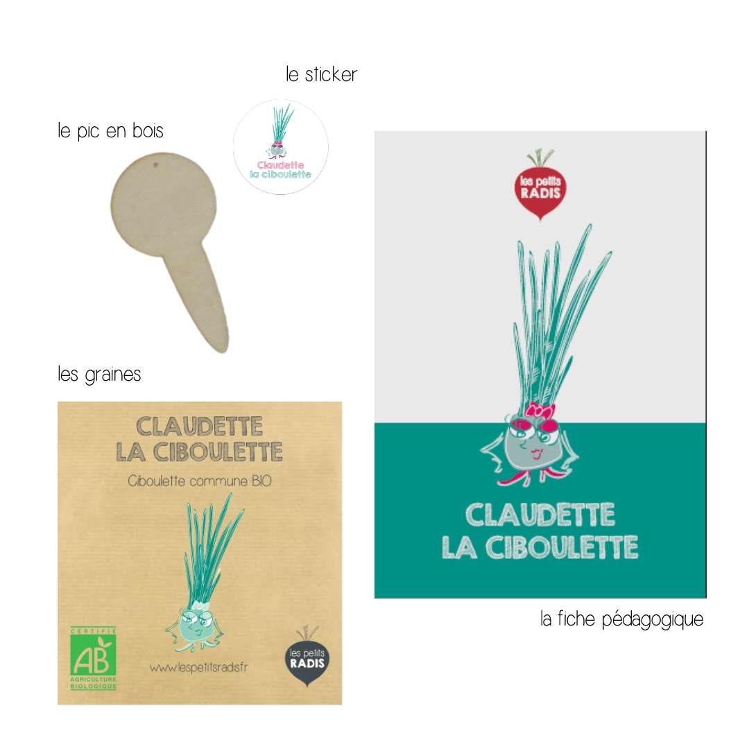 Mini-kit de semis - graines de ciboulette bio - Claudette la ciboulette 3