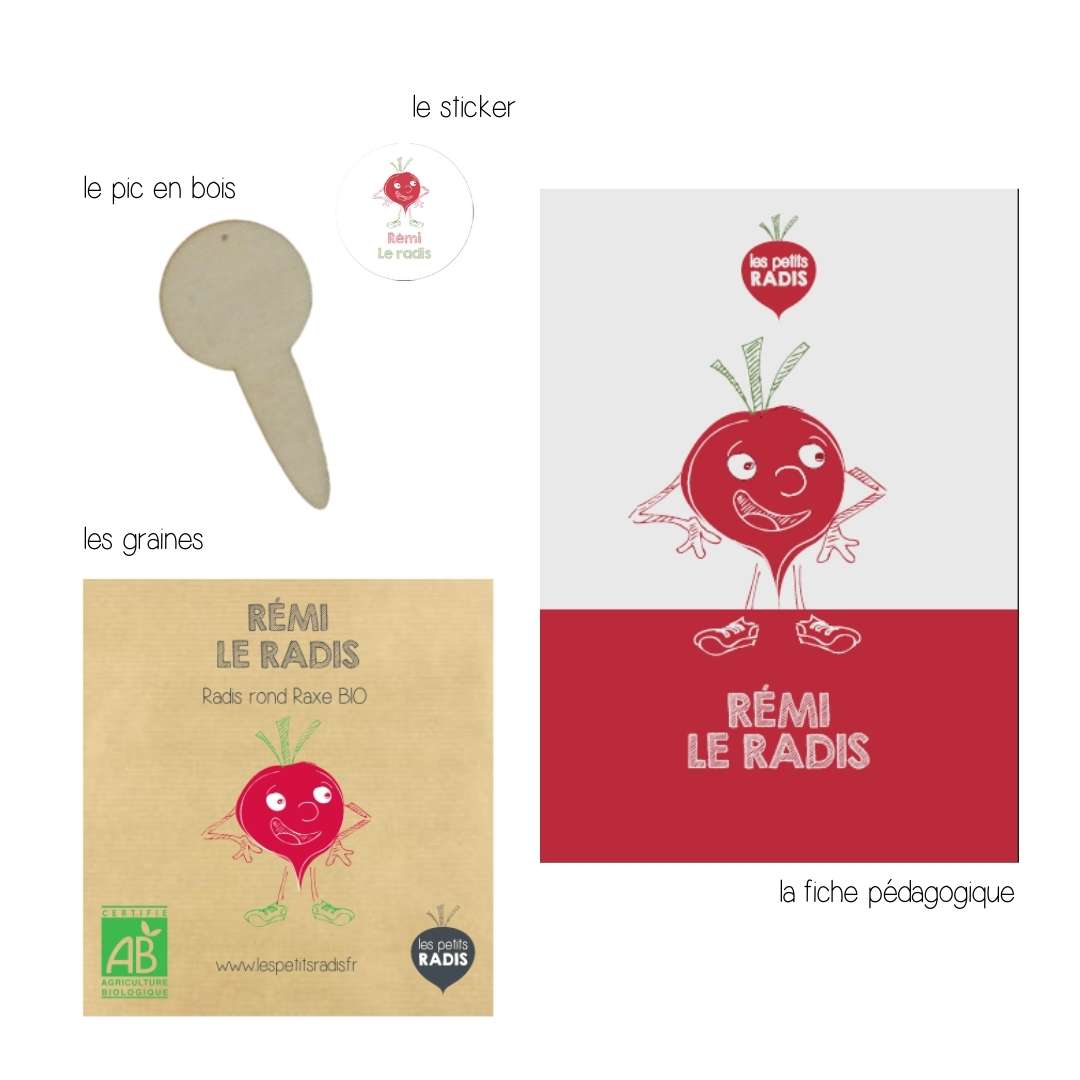 Mini-kit de semis - graines de radis bio - Rémi le Radis 2