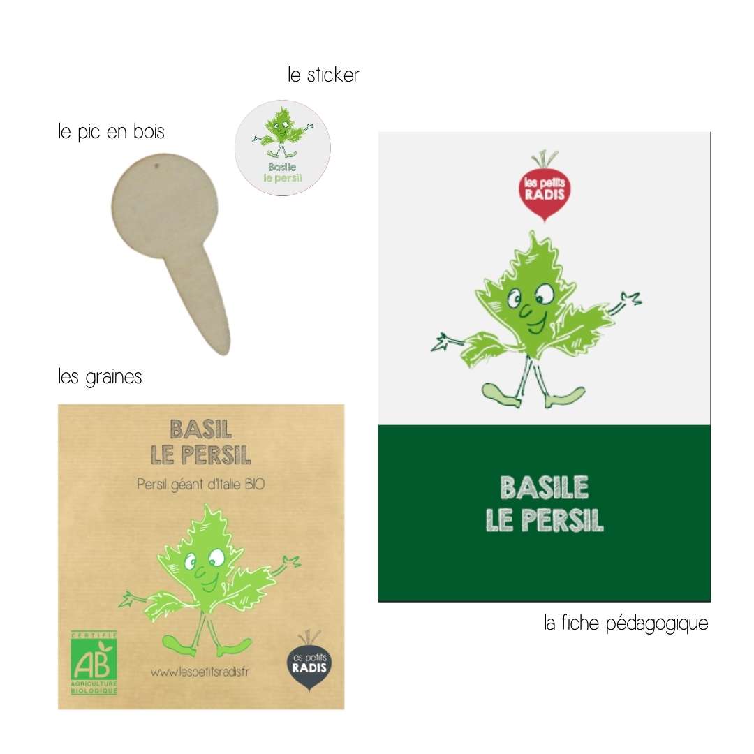 Mini-kit de semis - graines de persil bio - Basile le Persil 3